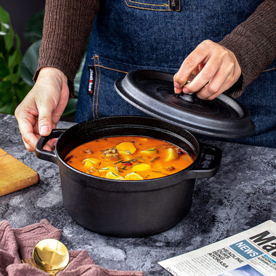 24cm Pre-seasoned NonStick Cast Iron Dutch Oven Handles Lid Skillet Cookware Braising Pot Pan Casserole Payday Deals