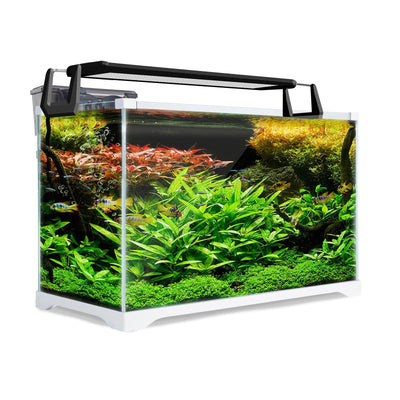 Dynamic Power Aquarium Fish Tank 39L Starfire Glass Payday Deals