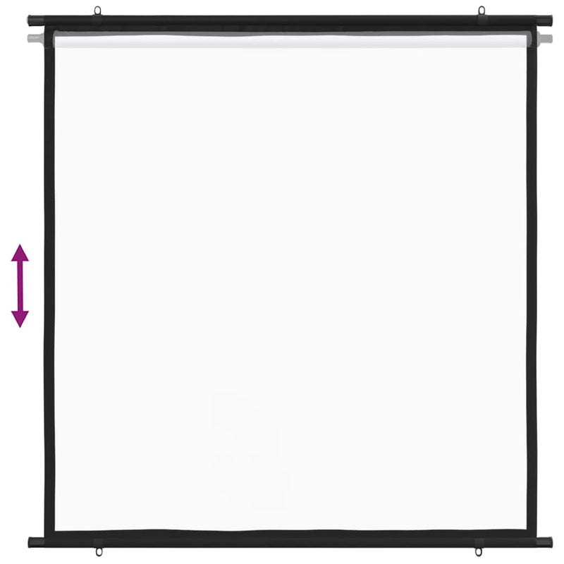 Projection Screen 119.4 cm 1:1