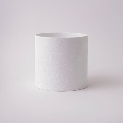 Tree Stripes Cylinder Pot Monstera - White (Medium)