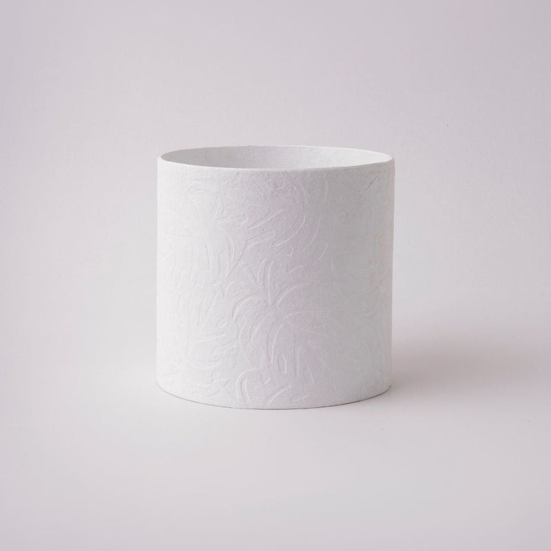Tree Stripes Cylinder Pot Monstera - White (Medium)