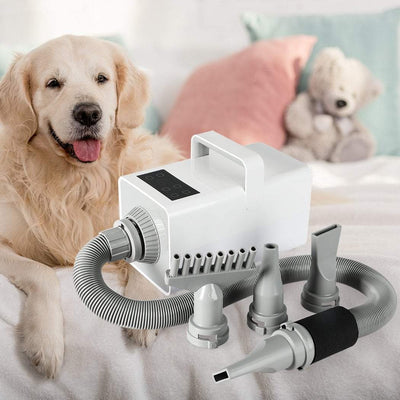 Dog Cat Pet Hair Dryer Grooming Blow Speed Hairdryer Blower Heater Blaster White Payday Deals