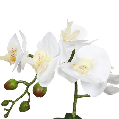 Potted Single Stem White Phalaenopsis Orchid with Decorative Pot 35cm - Payday Deals
