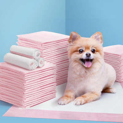 i.Pet Pet Training Pads 200 Puppy Dog Cat Toilet Indoor 60x60cm Super Absorbent Payday Deals