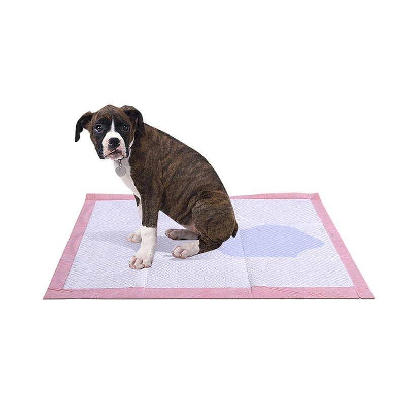 PaWz 50 Pcs 60x60 cm Pet Puppy Toilet Training Pads Absorbent Lavender Scent - Payday Deals