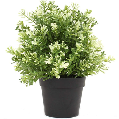 Small Potted Artificial White Jade Plant UV Resistant 20cm Payday Deals