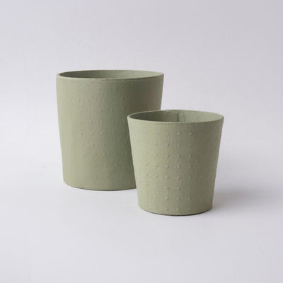 Tree Stripes Conical Pot Dotty - Sage Green (Small)