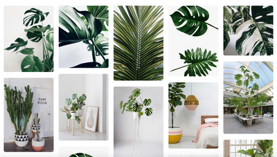 Hidden Secrets Decorating with Beautiful Fake Plants
