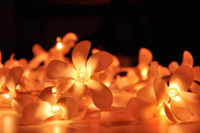 1 Set of 20 LED Orange Frangipani Flower Battery String Lights Christmas Gift Home Wedding Party Decoration Outdoor Table Garland Wreath Payday Deals