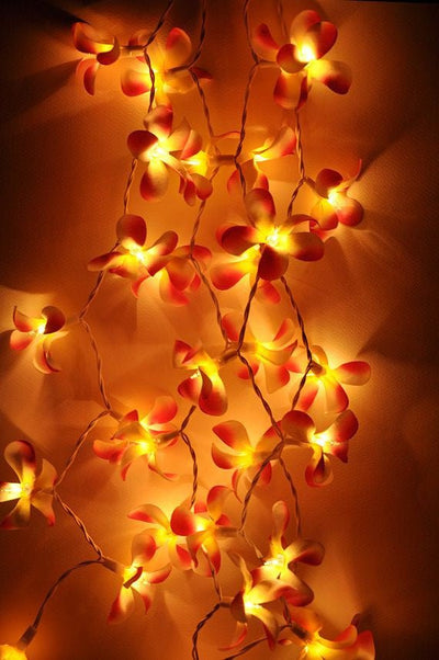 1 Set of 20 LED Orange Frangipani Flower Battery String Lights Christmas Gift Home Wedding Party Decoration Outdoor Table Garland Wreath Payday Deals