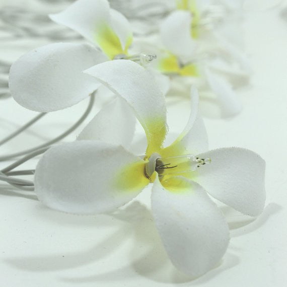 1 Set of 20 LED White Frangipani Flower Battery String Lights Christmas Gift Home Wedding Beach Party Decoration Outdoor Table Centrepiece Payday Deals