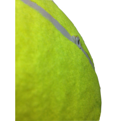 10" GIANT TENNIS BALL for Autographs Signatures Kids Games Yellow Jumbo Toy Payday Deals