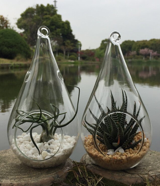 10 Pack of Hanging Clear Glass Tealight Candle Holder Tear Drop Pear Shape - 12cm High - Terrarium Plant Mini Garden Holder Decor Payday Deals