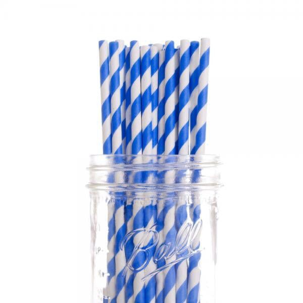 1000 Bulk Wholesale Pack Blue White Drinking Straws Biodegradable Eco Paper Birthday Party Event Bistro Bar Cafe Take Away Payday Deals