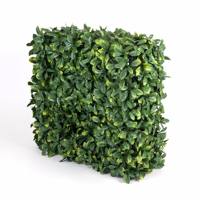 Portable Laurel Hedge UV Stabilised 75cm X 75cm