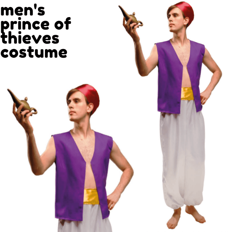 Mens Prince of Thieves Costume Aladdin Prince of Persia Party Arabian Outfit