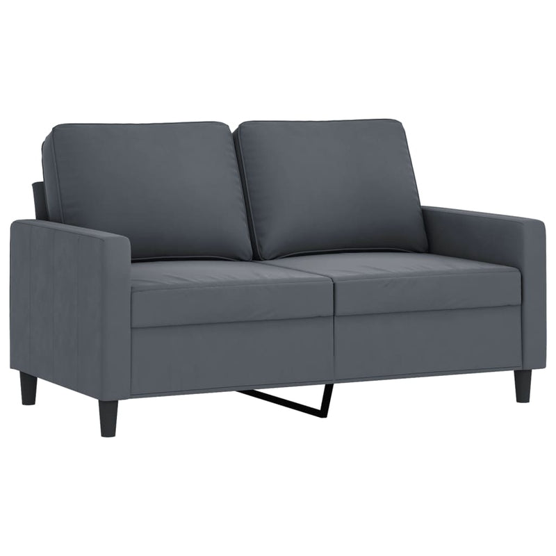 2 Piece Sofa Set with Cushions Dark Grey Velvet Payday Deals