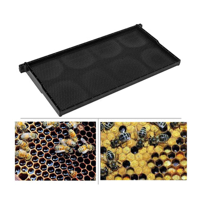 20x Beehive Plastic Frames Foundations Langstroth Bee Hive Deep Box Beekeeping Payday Deals