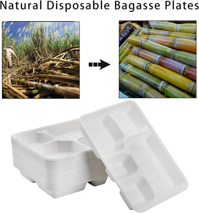 240pcs Sugarcane Bagasse 5 Compartment Lunch Paper Tray Plates 28x22cm Bulk Payday Deals