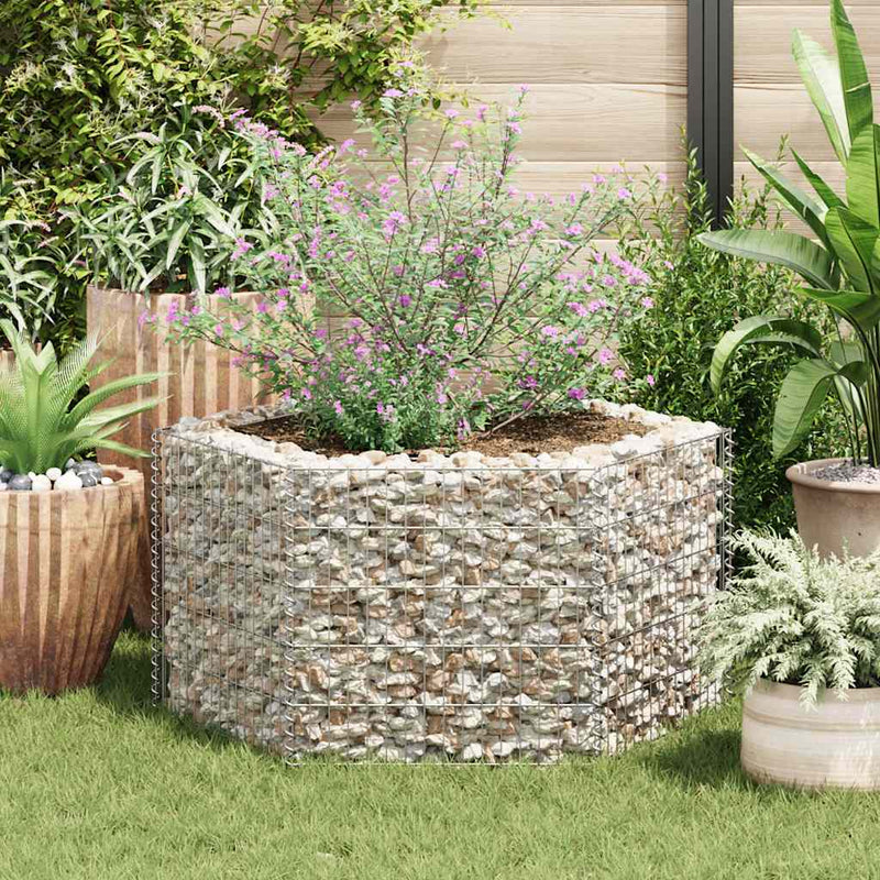 Hexagonal Gabion Raised Bed 100x90x50 cm