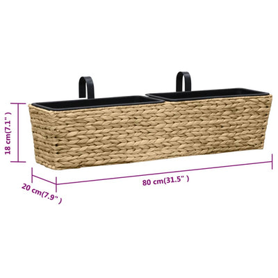 Planters 2 pcs Water Hyacinth