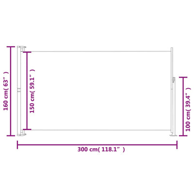 Patio Terrace Side Awning 160 x 300 cm Blue