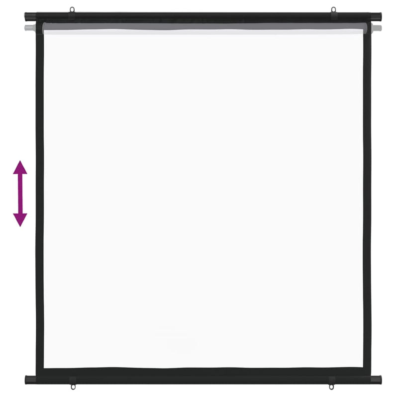 Projection Screen 226.1 cm 1:1