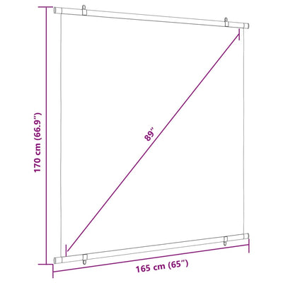 Projection Screen 226.1 cm 1:1