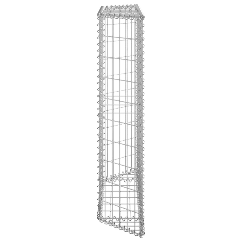 Trapezium Gabion Raised Bed Galvanised Steel 100x20x100 cm