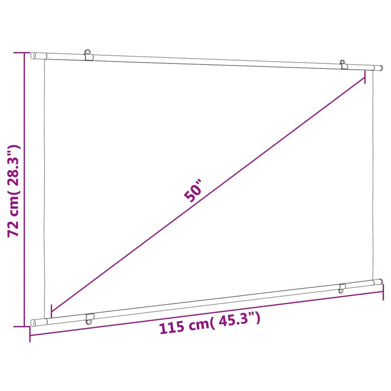 Projection Screen 50" 16:9