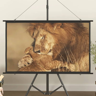 Projection Screen 50" 16:9