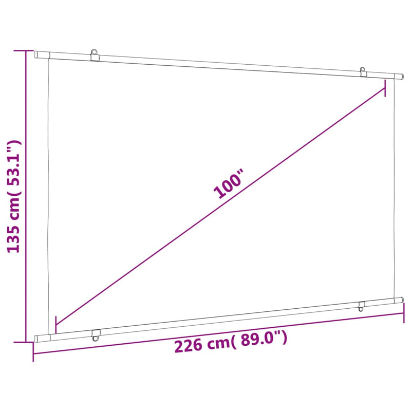 Projection Screen 100" 16:9