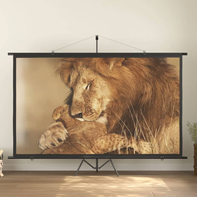 Projection Screen 120" 16:9