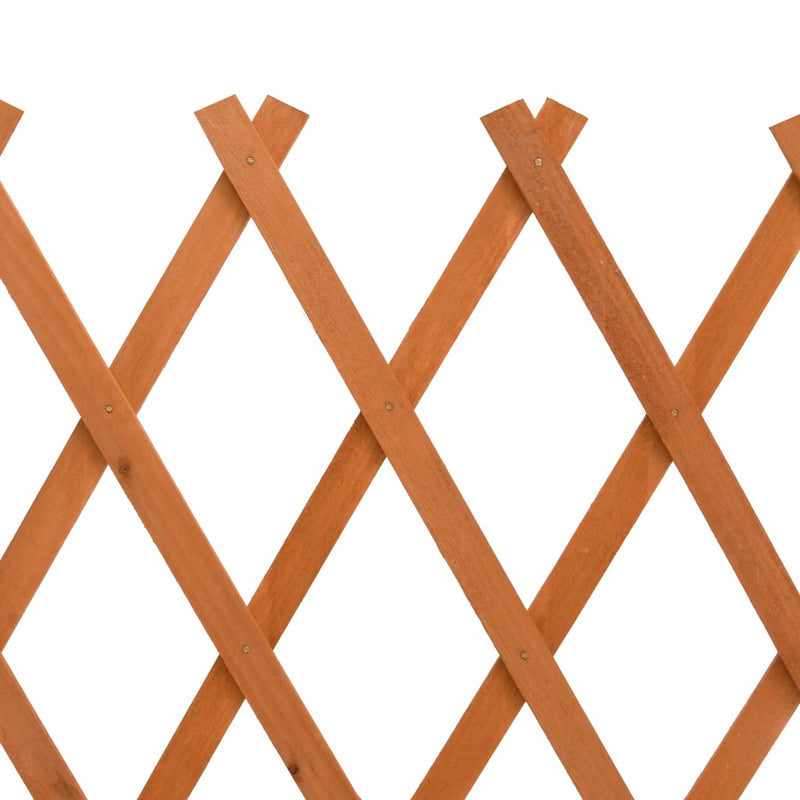 Garden Trellis Fence Orange 150x80 cm Solid Firwood