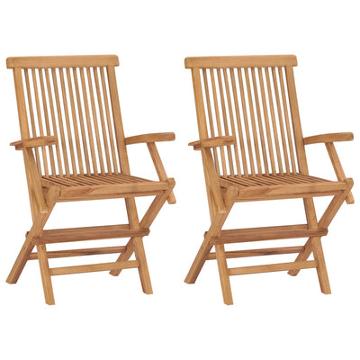 Folding Garden Chairs 2 pcs Solid Wood Teak