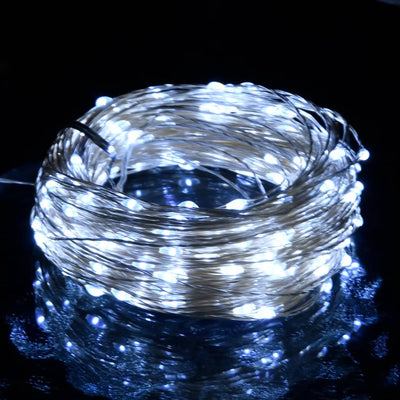 LED String with 300 LEDs Cold White 30 m