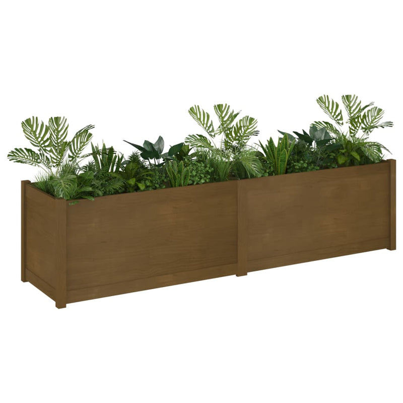 Garden Planter Honey Brown 200x50x50 cm Solid Wood Pine