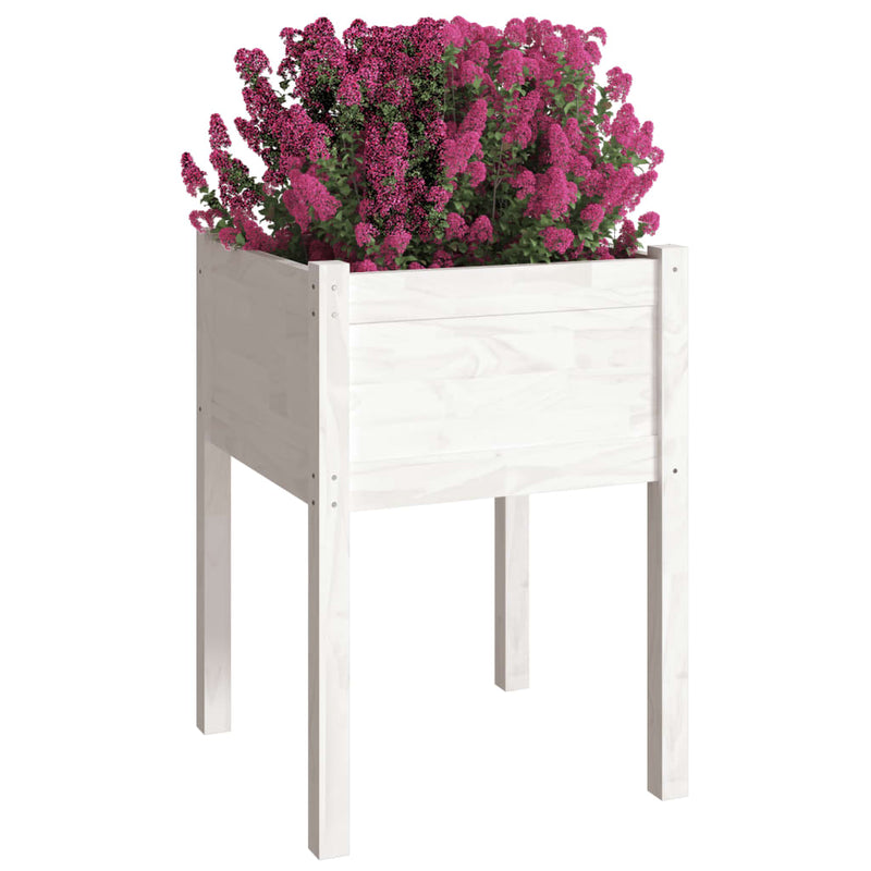 Garden Planters 2 pcs White 50x50x70 cm Solid Pinewood