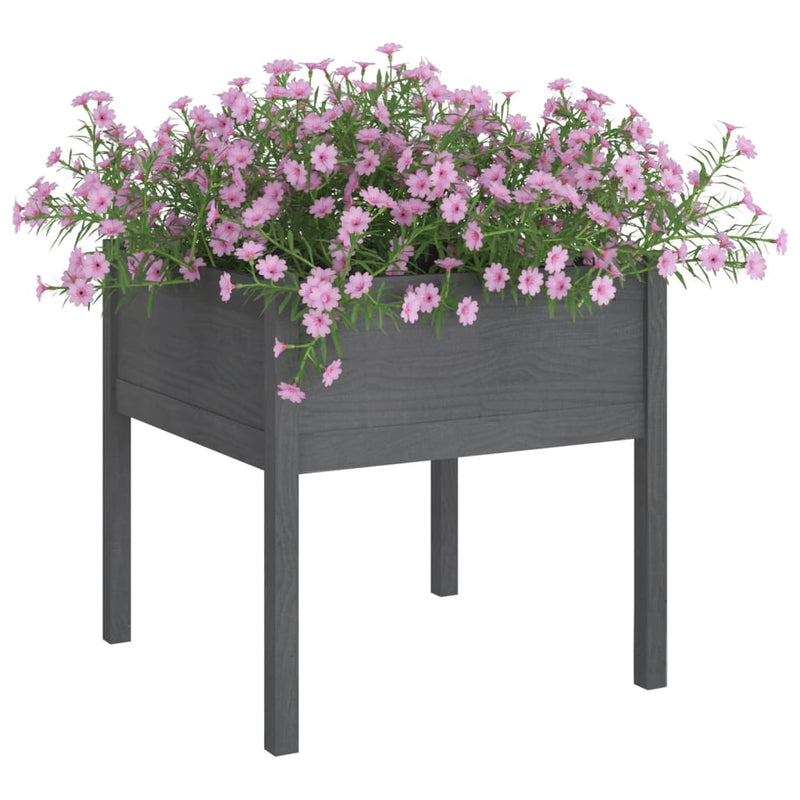 Garden Planters 2 pcs Grey 70x70x70 cm Solid Pinewood