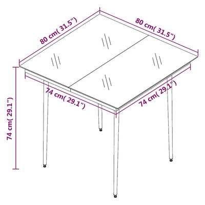 Garden Dining Table Black 80x80x74 cm Steel and Glass