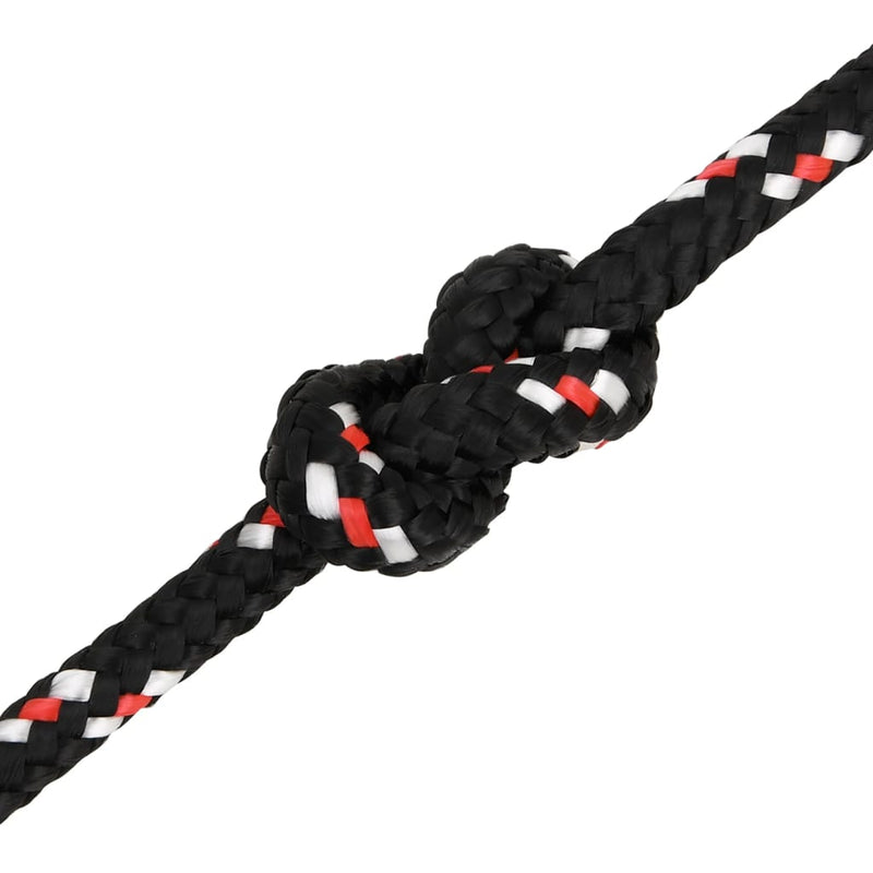 Boat Rope Black 10 mm 25 m Polypropylene