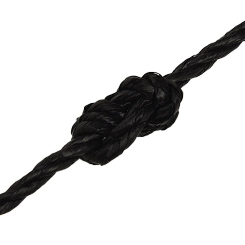 Work Rope Black 8 mm 100 m Polypropylene