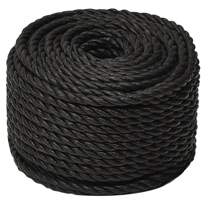 Work Rope Black 10 mm 25 m Polypropylene