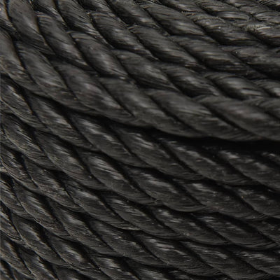 Work Rope Black 10 mm 25 m Polypropylene