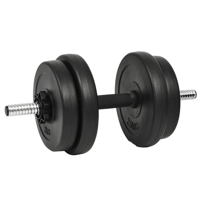 Dumbbell with Plates 40 kg