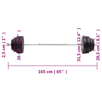 Barbell with Plates 60 kg