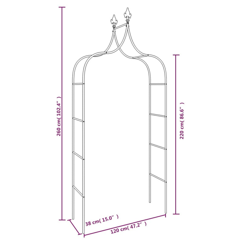 Garden Arches 2 pcs Black 120x38x260 cm Steel