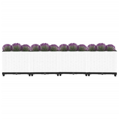 Raised Bed 160x40x38 cm Polypropylene