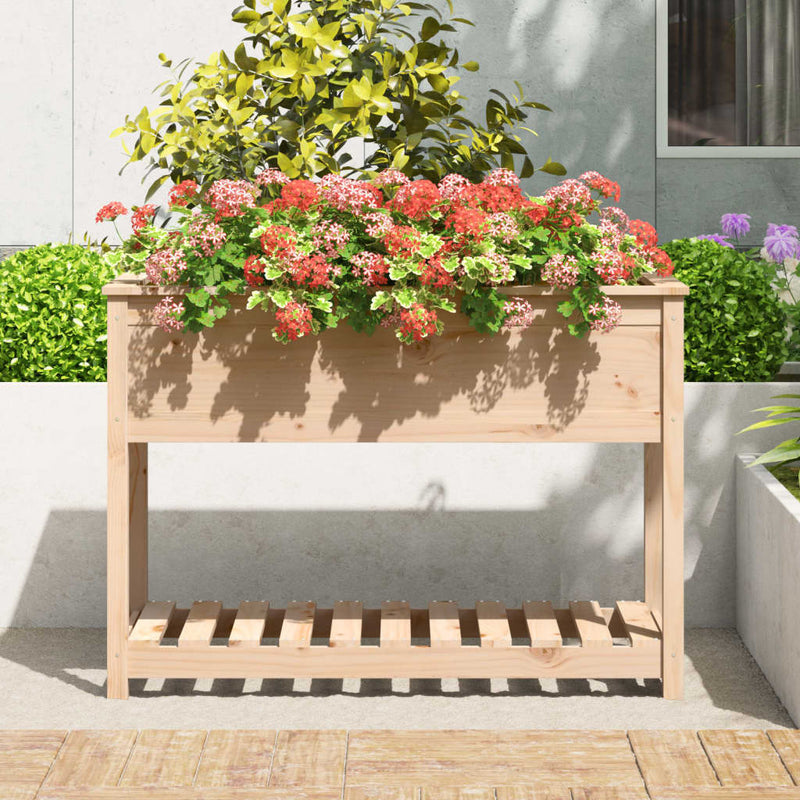 Planter with Shelf 111.5x54x81 cm Solid Wood Pine