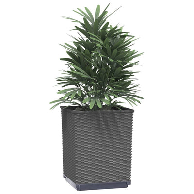 Planters 4 pcs Black 30x30x37 cm Polypropylene